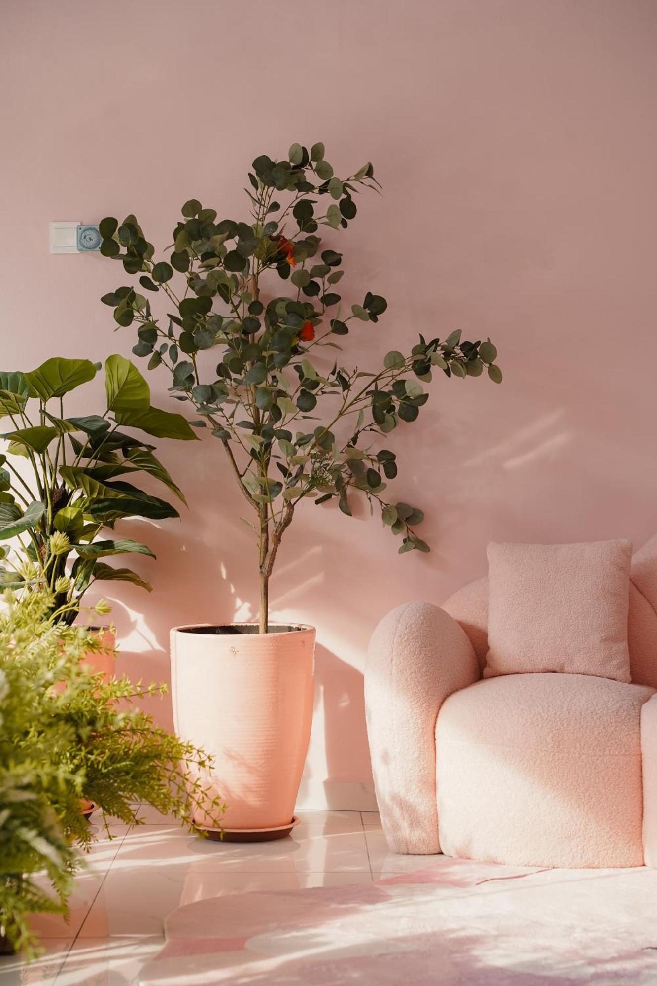 Asrama Pink Georgetown